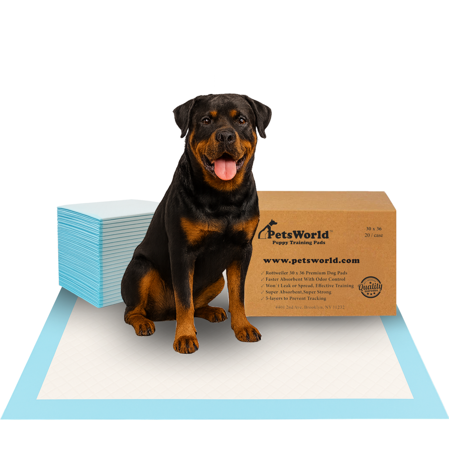 PetsWorld Extra Large (30x36 inch) Dog Training & Potty Pads_20 Count