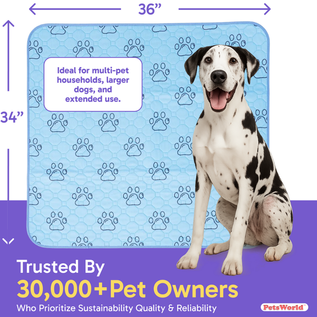 Washable Dog Potty Pads, Unscented_2 Count / 34 x 36-in