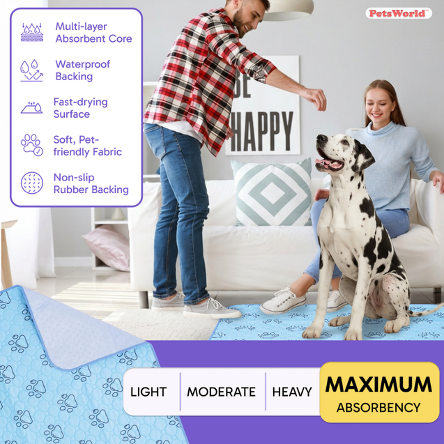 Washable Dog Potty Pads, Unscented_2 Count / 34 x 36-in