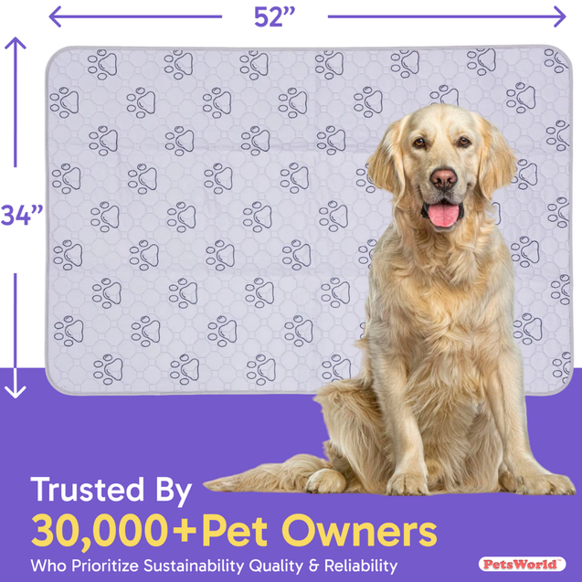 Wholesale Washable Dog Potty Pads, Unscented_24 Count / 34 x 52-in