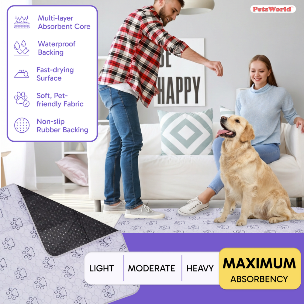 Washable Dog Potty Pads, Unscented_2 Count / 34 x 52-in