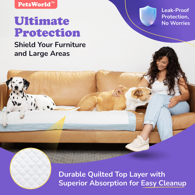 PetsWorld 3XL (37x54 inch) Dog Training & Potty Pads_