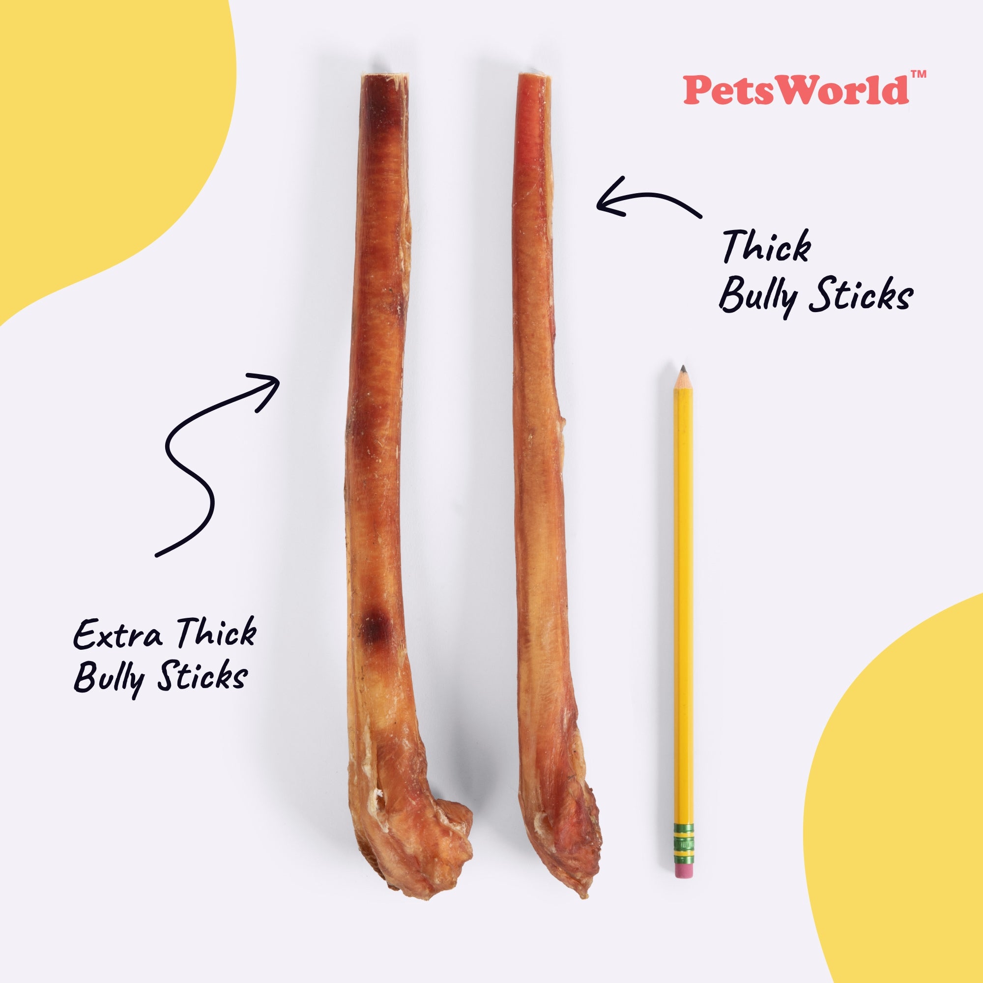 12-Inch Thick Jumbo Bully Sticks for Medium - Large Dogs_