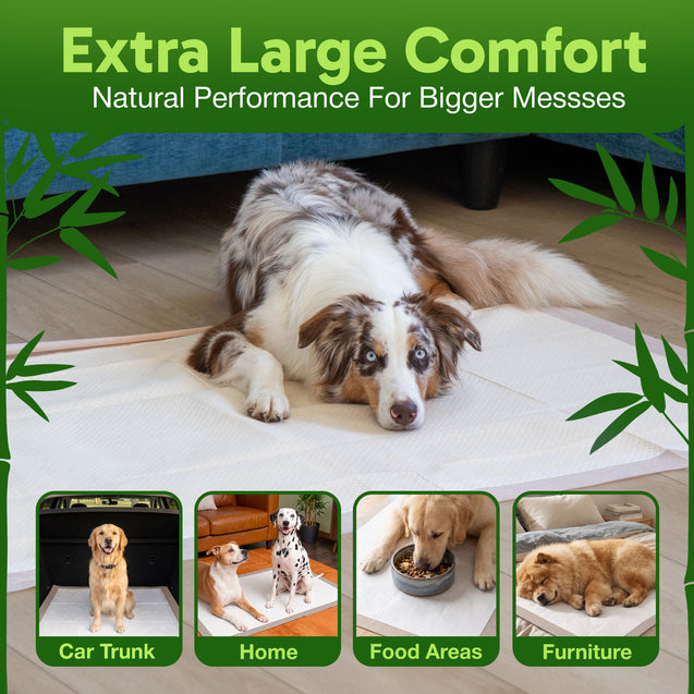 Bambeau™ Gigantic (36x36 inch) Premium Bamboo-Based Pads Eco Conscious Dog Pads_
