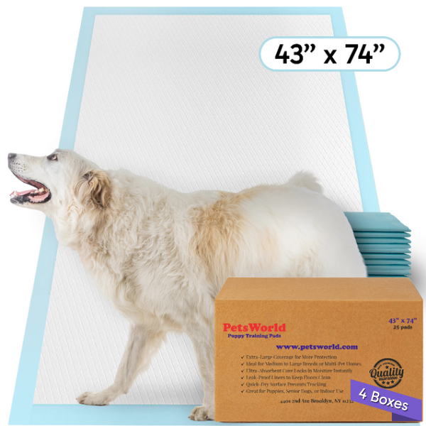 Wholesale Mega (43x74 inch) Dog Training & Potty Pads_100 Count