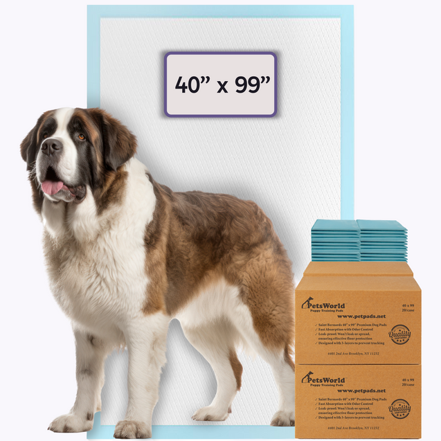 4XL (40x99 inch) Dog Training & Potty Pads