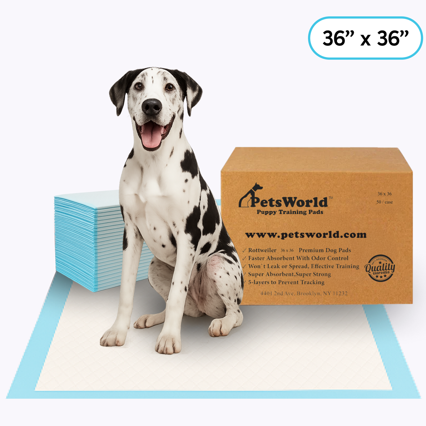 PetsWorld Gigantic (36x36 inch) Dog Training & Potty Pads_50 Count