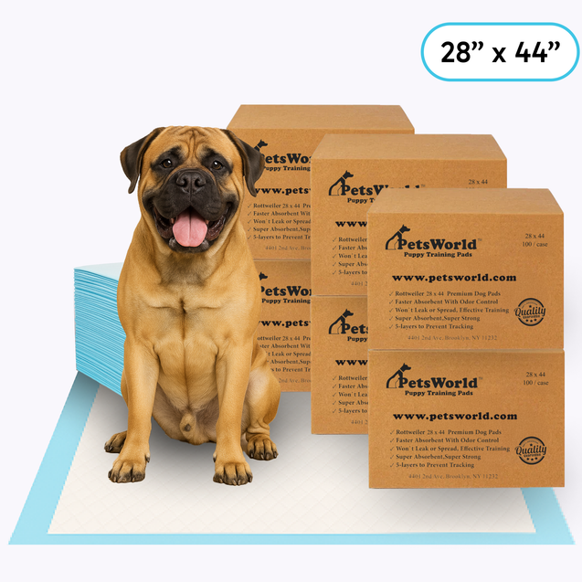Wholesale Massive (28x44 inch) Dog Training Pads & Potty Pads_600 Count