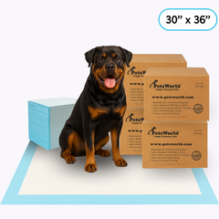 Wholesale Extra Large (30x36 inch) Dog Training & Potty Pads