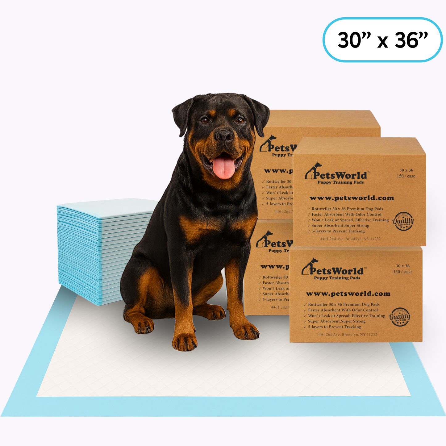 Wholesale Extra Large (30x36 inch) Dog Training & Potty Pads_600 Count