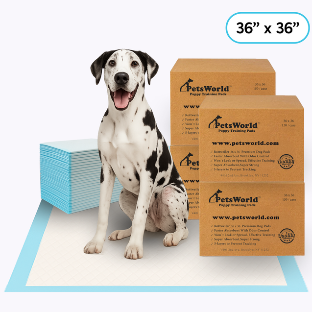 Wholesale Gigantic (36x36 inch) Dog Training & Potty Pads_600 Count