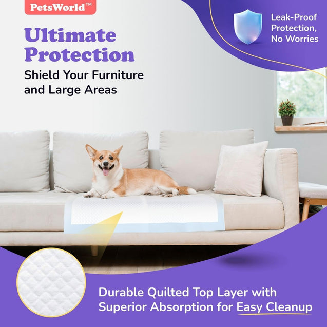 PetsWorld Economy Value (24x24 inch) Puppy Training & Potty Pads_