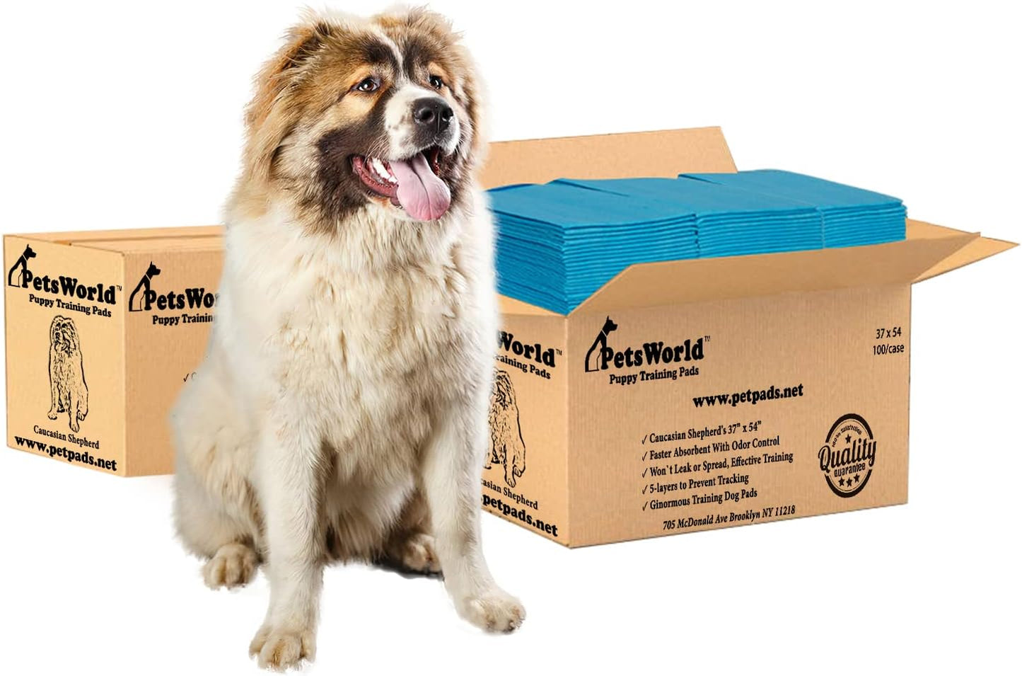 PetsWorld 3XL (37x54 inch) Dog Training & Potty Pads_200 Count