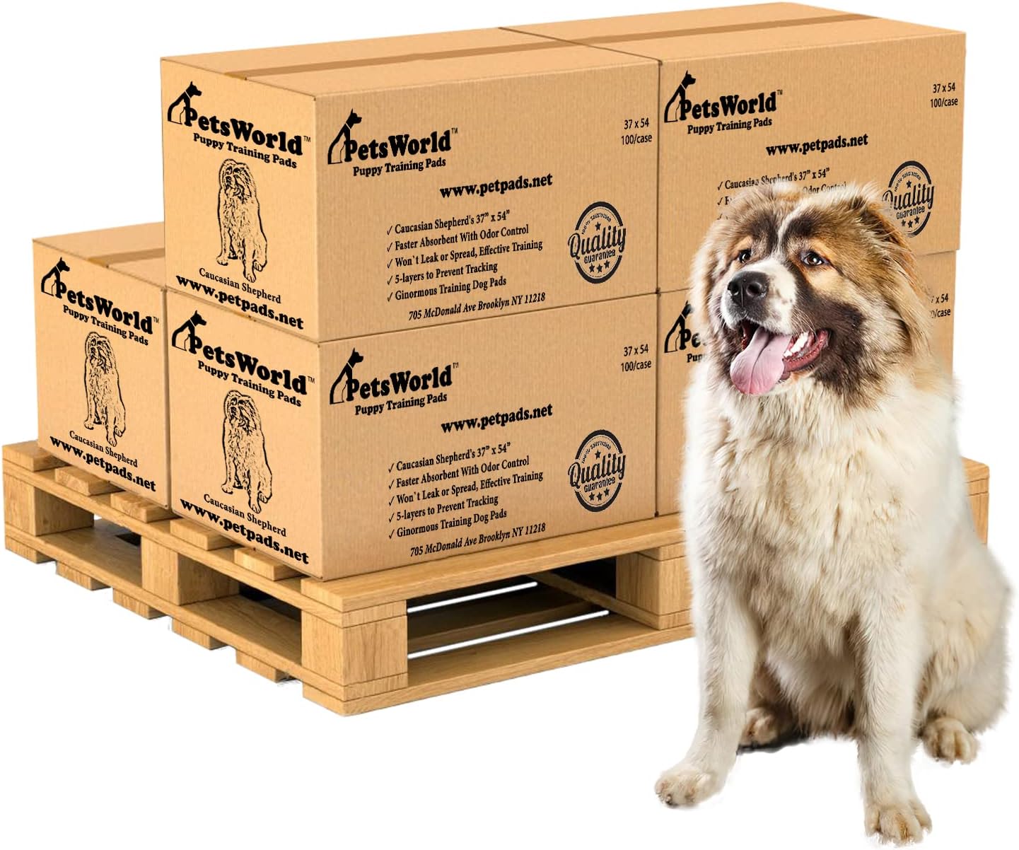 PetsWorld 3XL (37x54 inch) Dog Training & Potty Pads_600 Count