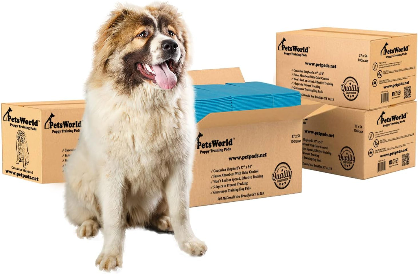 PetsWorld 3XL (37x54 inch) Dog Training & Potty Pads_400 Count