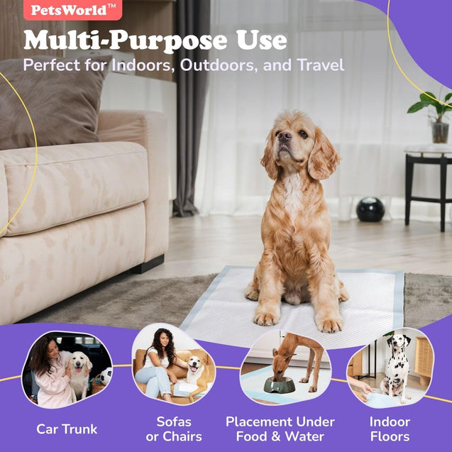 PetsWorld Economy Value (24x24 inch) Puppy Training & Potty Pads_