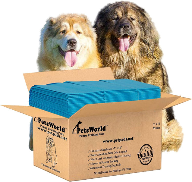 PetsWorld 3XL (37x54 inch) Dog Training & Potty Pads_25 Count