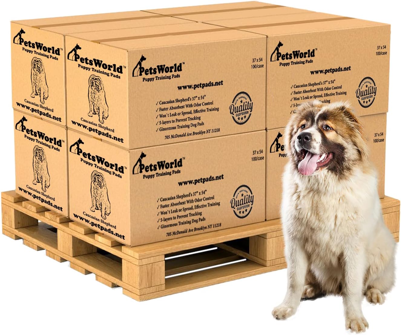 PetsWorld 3XL (37x54 inch) Dog Training & Potty Pads_800 Count