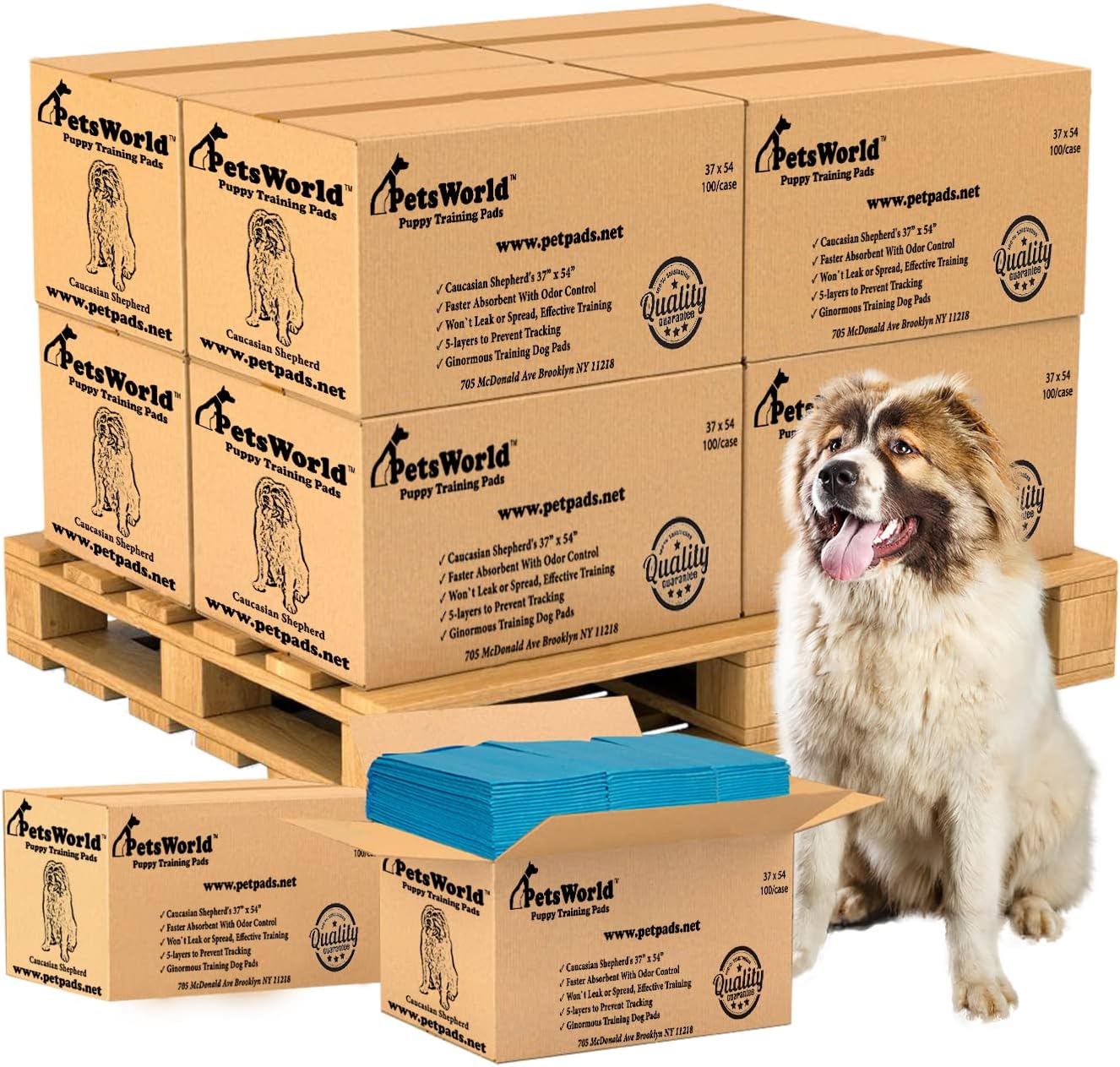PetsWorld 3XL (37x54 inch) Dog Training & Potty Pads_1000 Count