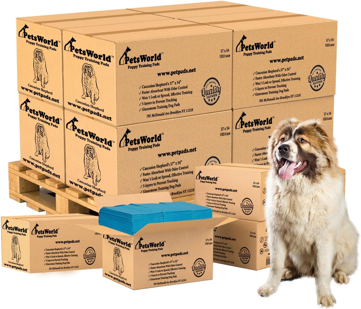 PetsWorld 3XL (37x54 inch) Dog Training & Potty Pads_1200 Count