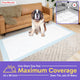 PetsWorld 4XL (40x99 inch) Dog Training & Potty Pads Pads_