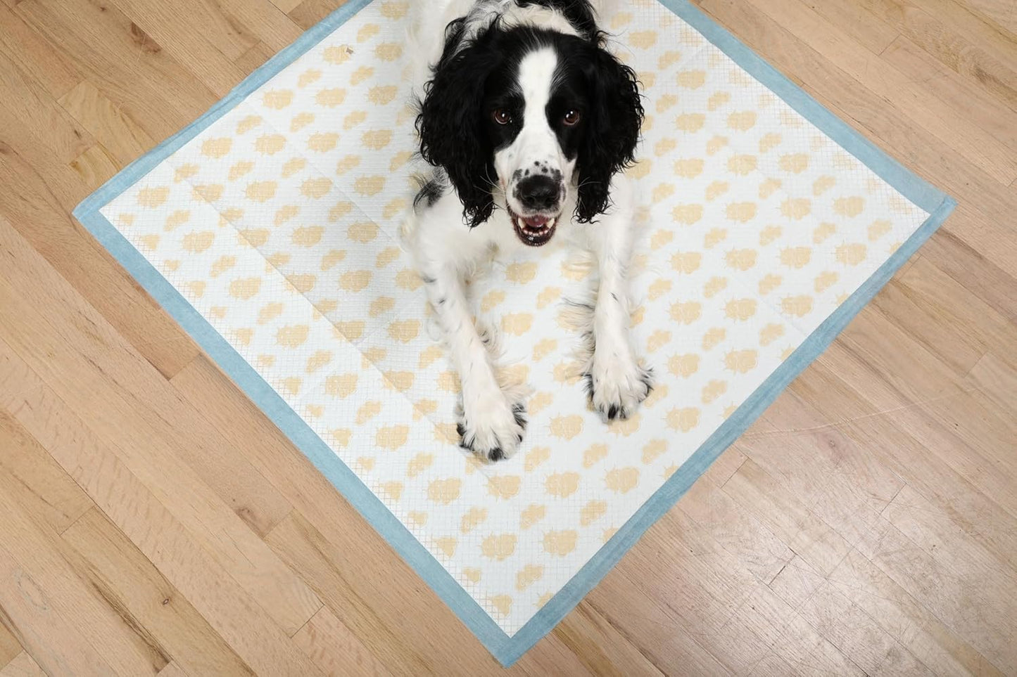 PetsWorld NEW 36x36 Inch Health Monitoring Dog Pee Pads