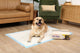 PetsWorld NEW 37x54 Inch Health Monitoring Dog Pee Pads