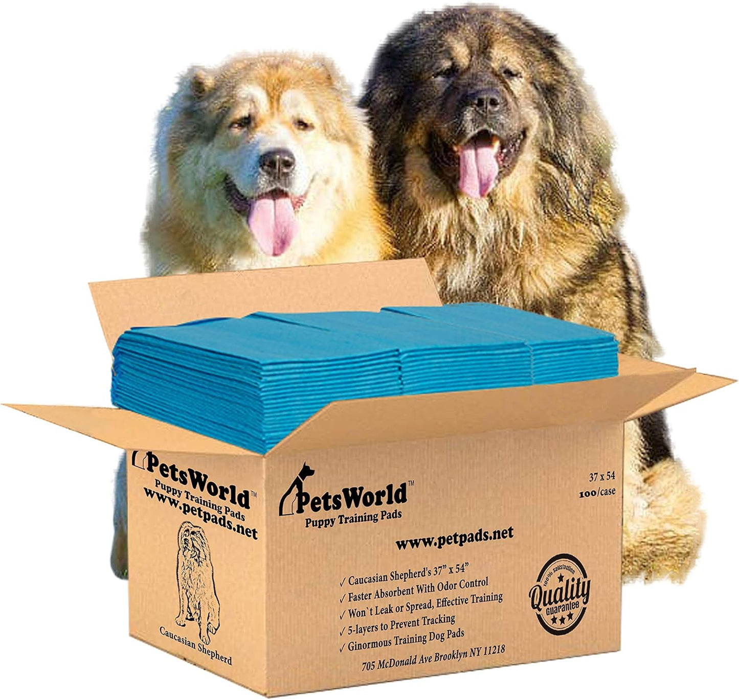 PetsWorld 3XL (37x54 inch) Dog Training & Potty Pads_100 Count