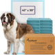 PetsWorld 4XL (40x99 inch) Dog Training & Potty Pads Pads_10 Count