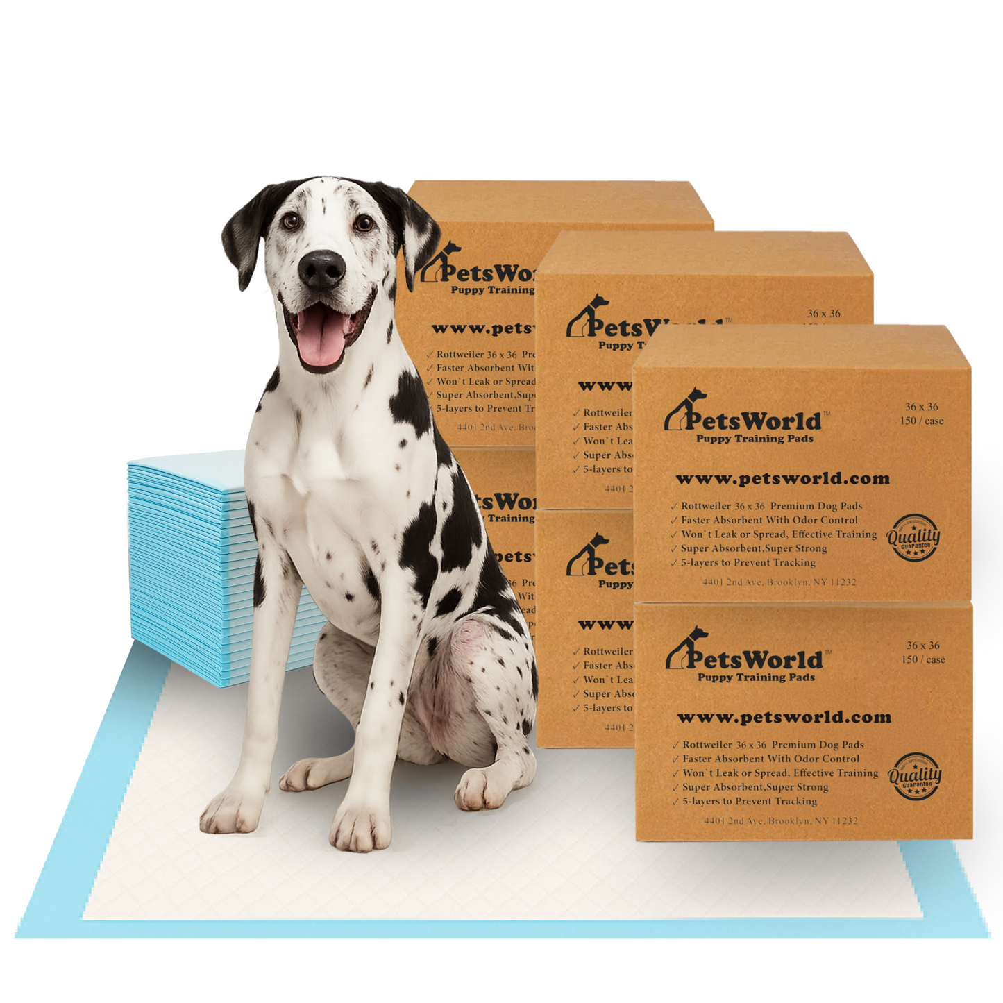 PetsWorld Gigantic (36x36 inch) Dog Training & Potty Pads_900 Count
