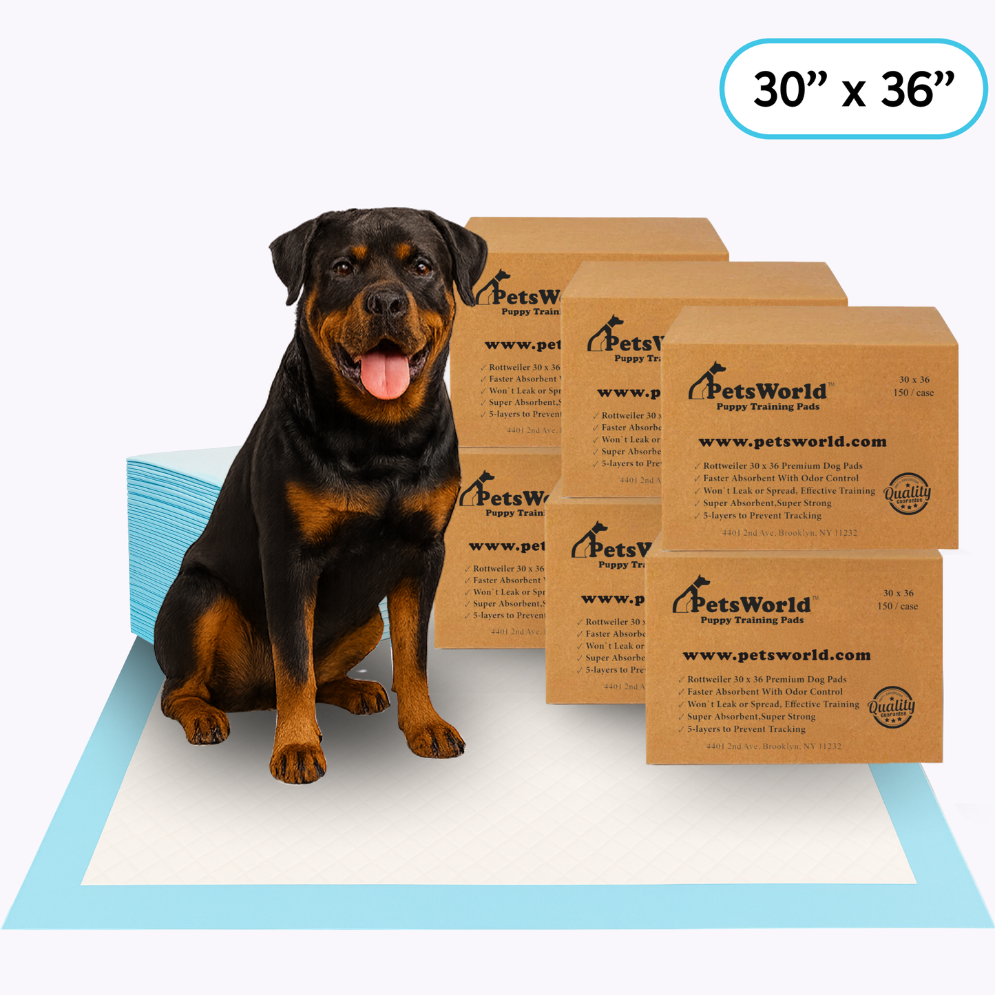 Wholesale Extra Large (30x36 inch) Dog Training & Potty Pads_900 Count