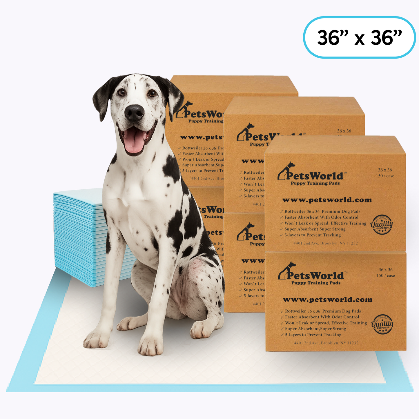 Wholesale Gigantic (36x36 inch) Dog Training & Potty Pads_900 Count
