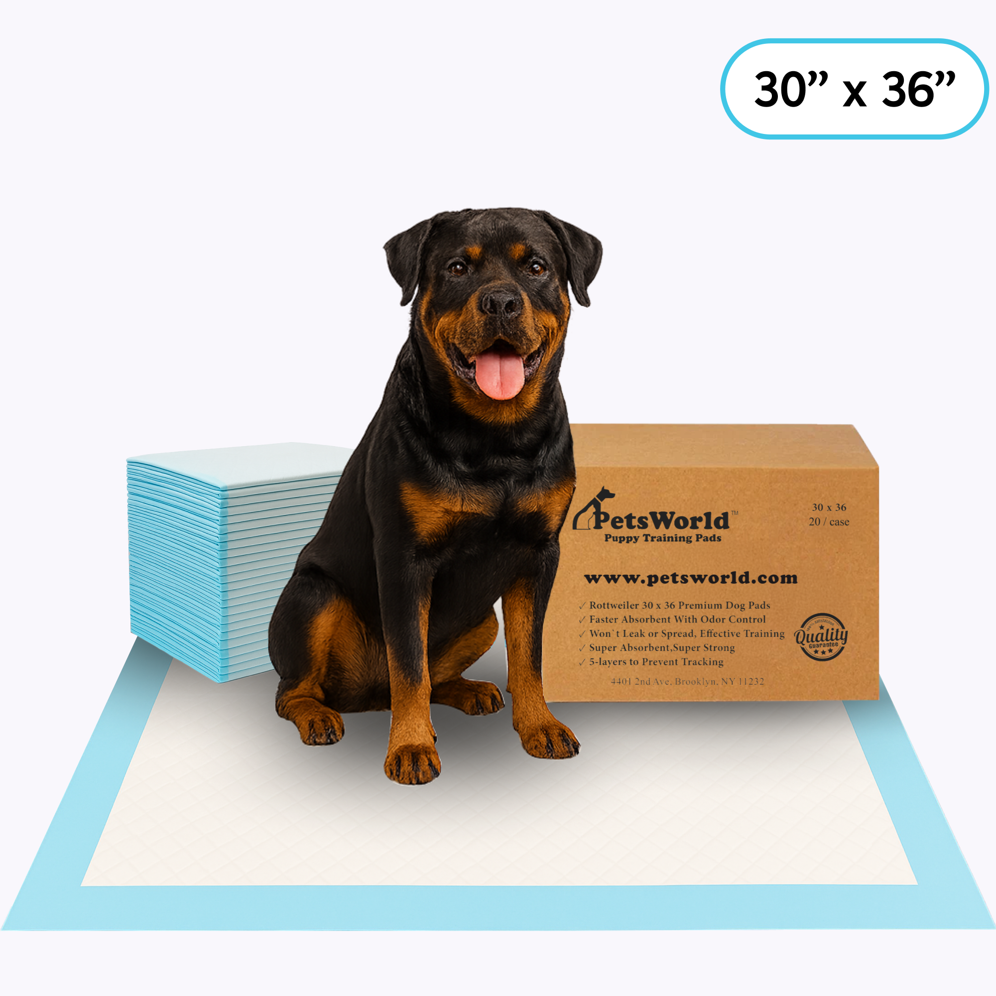 PetsWorld Extra Large (30x36 inch) Dog Training & Potty Pads
