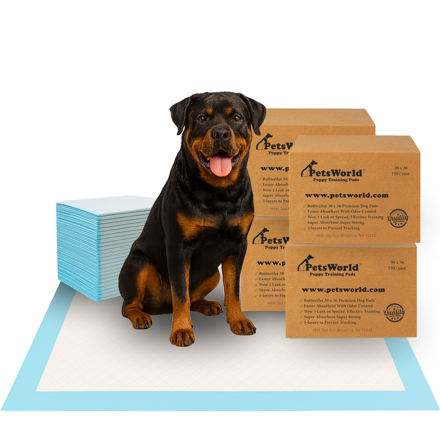 PetsWorld Extra Large (30x36 inch) Dog Training & Potty Pads_600 Count