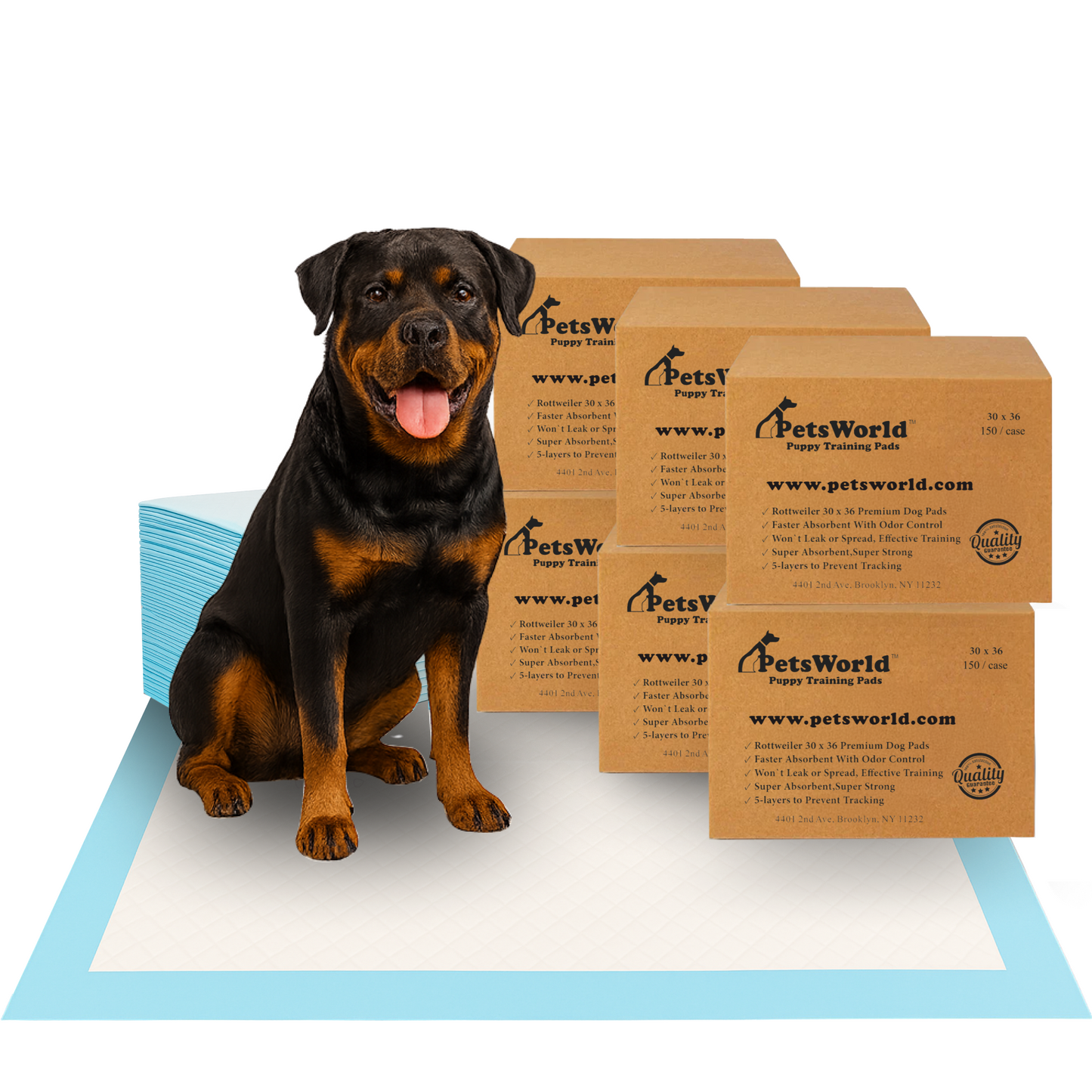 PetsWorld Extra Large (30x36 inch) Dog Training & Potty Pads_900 Count