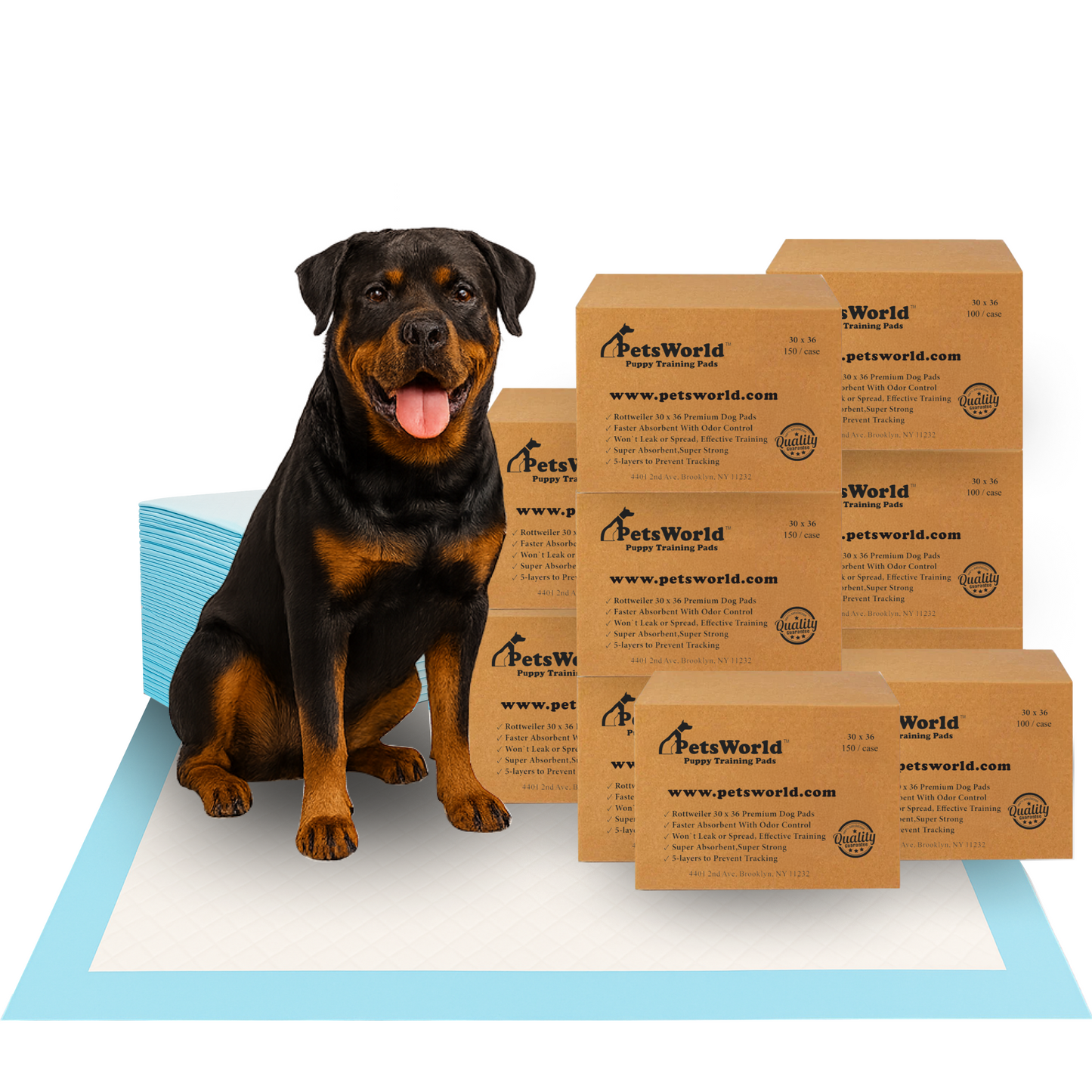 PetsWorld Extra Large (30x36 inch) Dog Training & Potty Pads_1500 Count