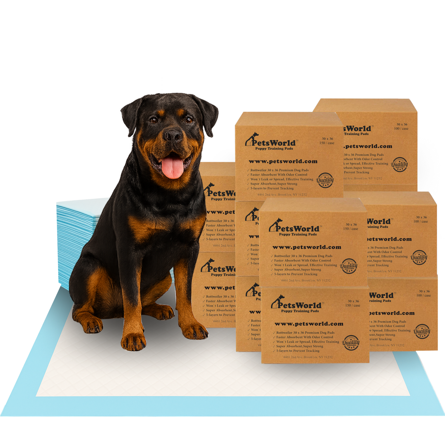 PetsWorld Extra Large (30x36 inch) Dog Training & Potty Pads_1800 Count