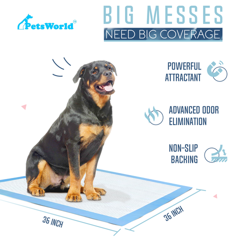 PetsWorld Gigantic (36x36 inch) Dog Training & Potty Pads_