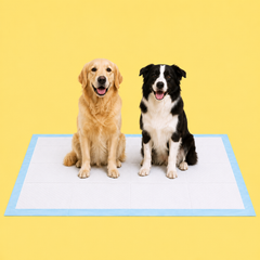 Dog Pee Pads image