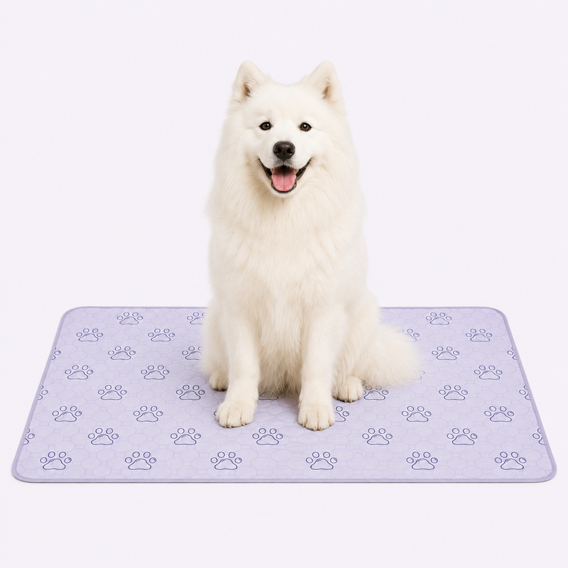 Washable