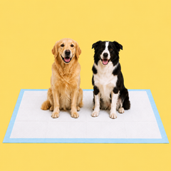 Dog Pee Pads image