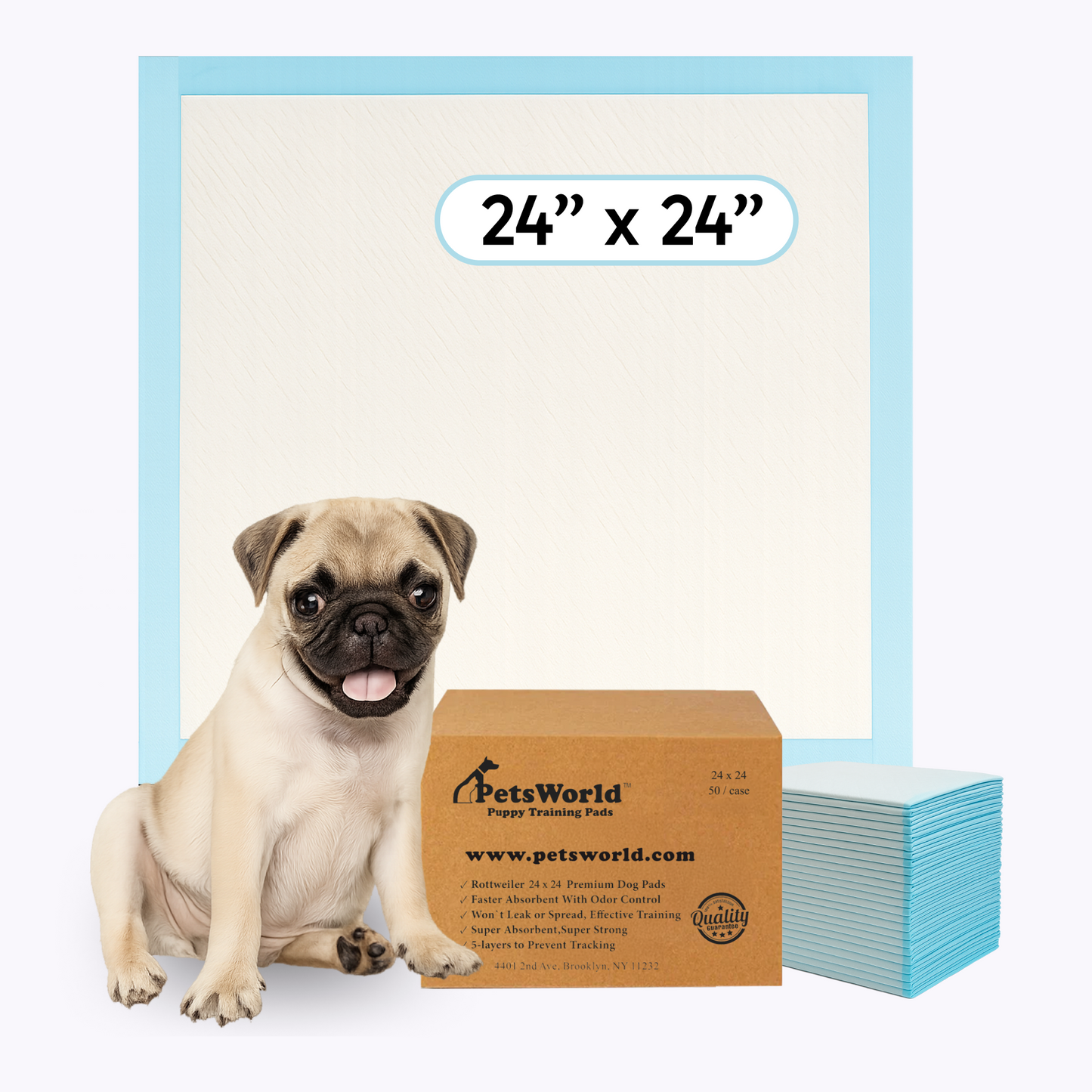 PetsWorld Economy Value (24x24 inch) Puppy Training & Potty Pads