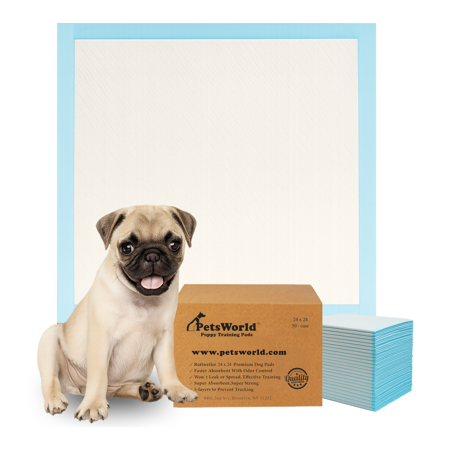 PetsWorld Economy Value (24x24 inch) Puppy Training & Potty Pads_