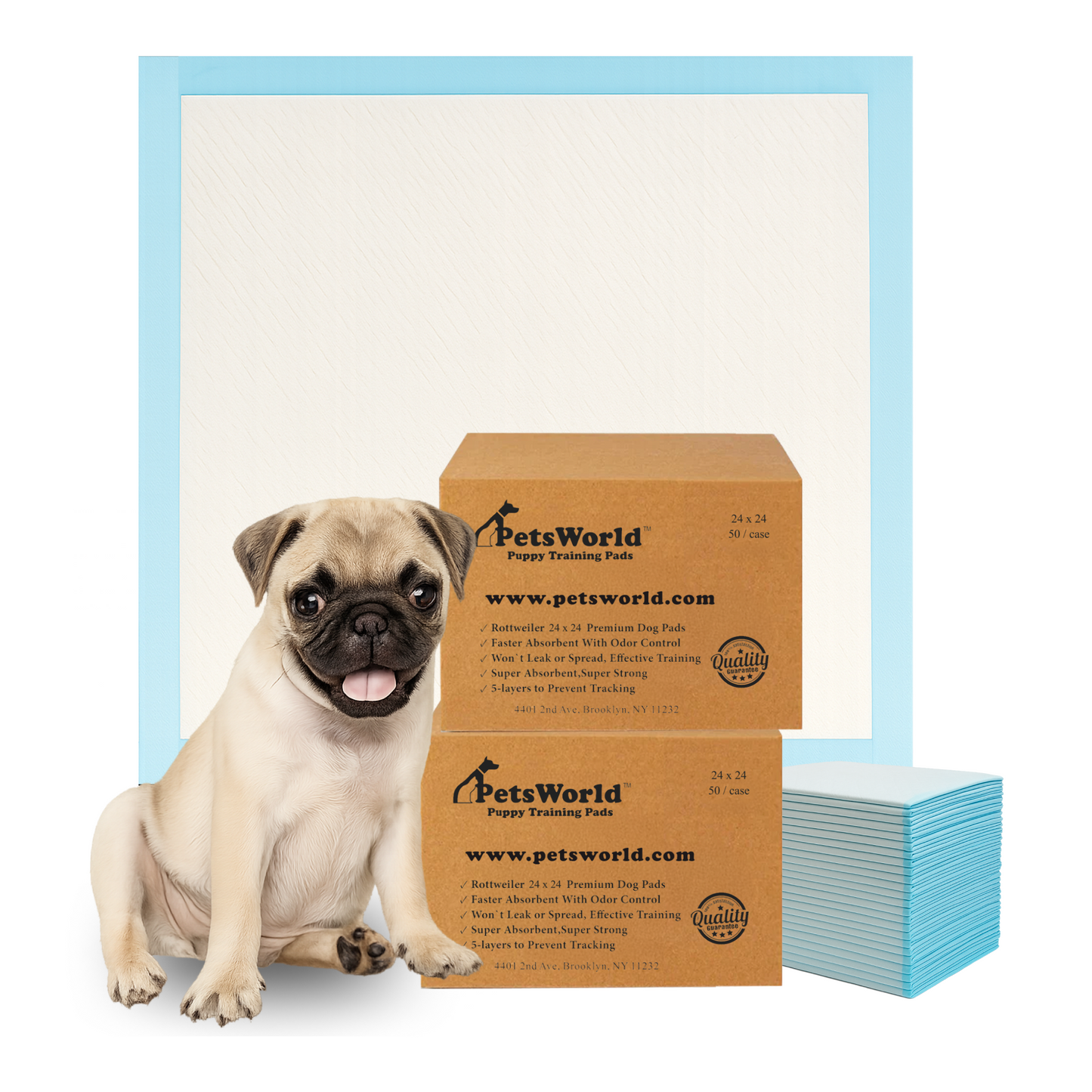 PetsWorld Economy Value (24x24 inch) Puppy Training & Potty Pads_100 Count