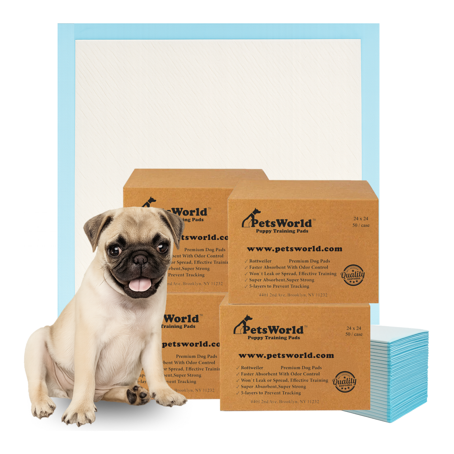 PetsWorld Economy Value (24x24 inch) Puppy Training & Potty Pads_200 Count