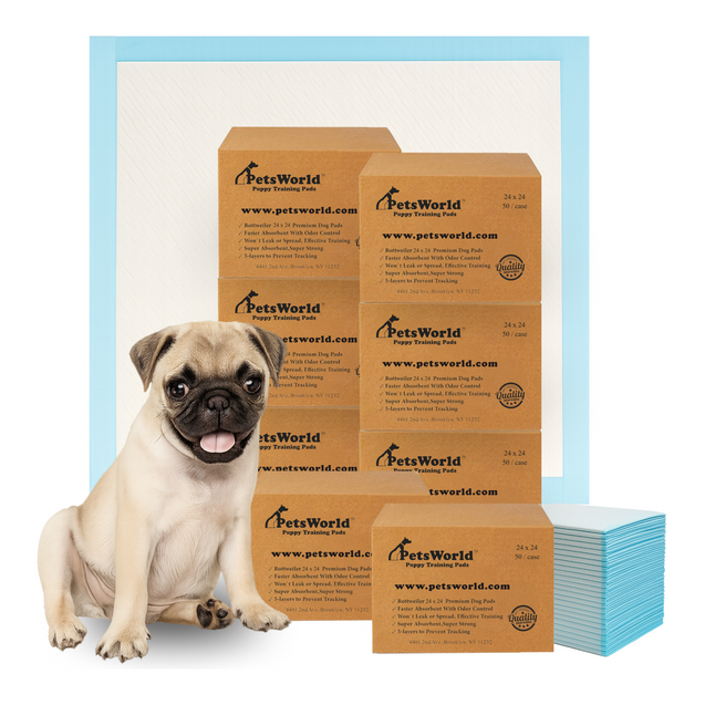 PetsWorld Economy Value (24x24 inch) Puppy Training & Potty Pads_400 Count