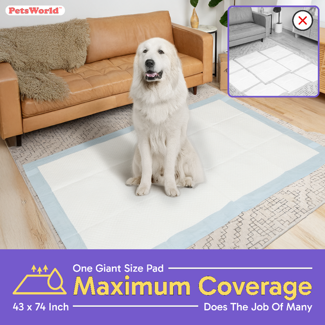 PetsWorld 5XL (43x74 inch) Dog Training & Potty Pads