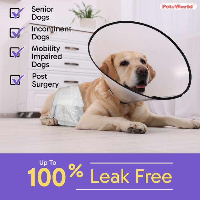 PetsWorld Disposable Dog Wraps for Male Dogs, Adjustable, Super Absorbent Diapers_