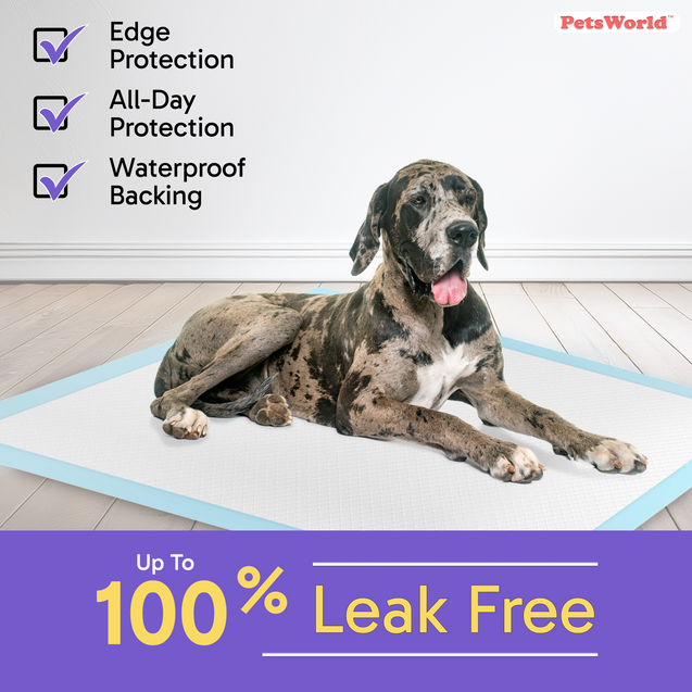 PetsWorld Gigantic (36x36 inch) Dog Training & Potty Pads_