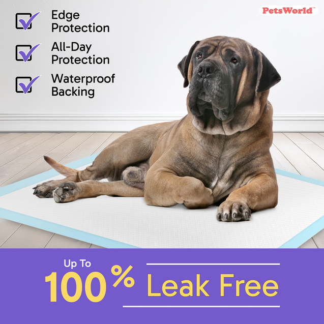 PetsWorld Massive (28x44 inch) Dog Training Pads & Potty Pads_